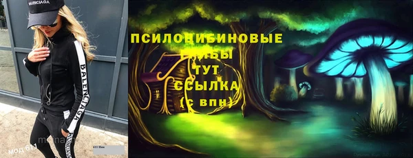 МДПВ Аркадак