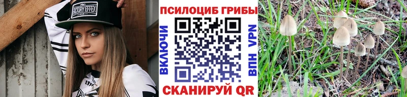 Галлюциногенные грибы мухоморы  Терек 